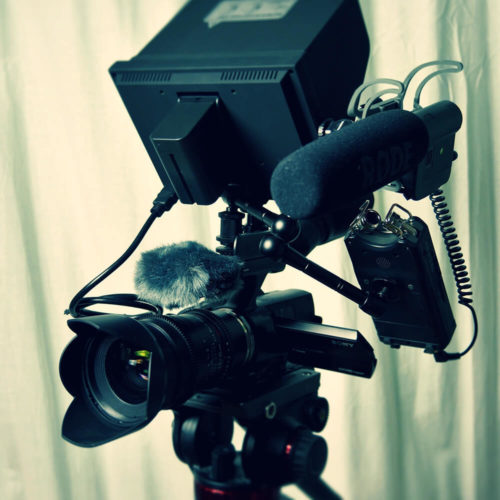 Hjælp til ord i medierne